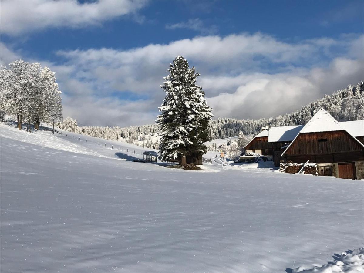 Wohlfuehlpension Kreischberg Inklusive Murau Sommergaestecard Ab 2 Naechte ザンクト・ゲオルゲン・オプ・ムーラウ エクステリア 写真