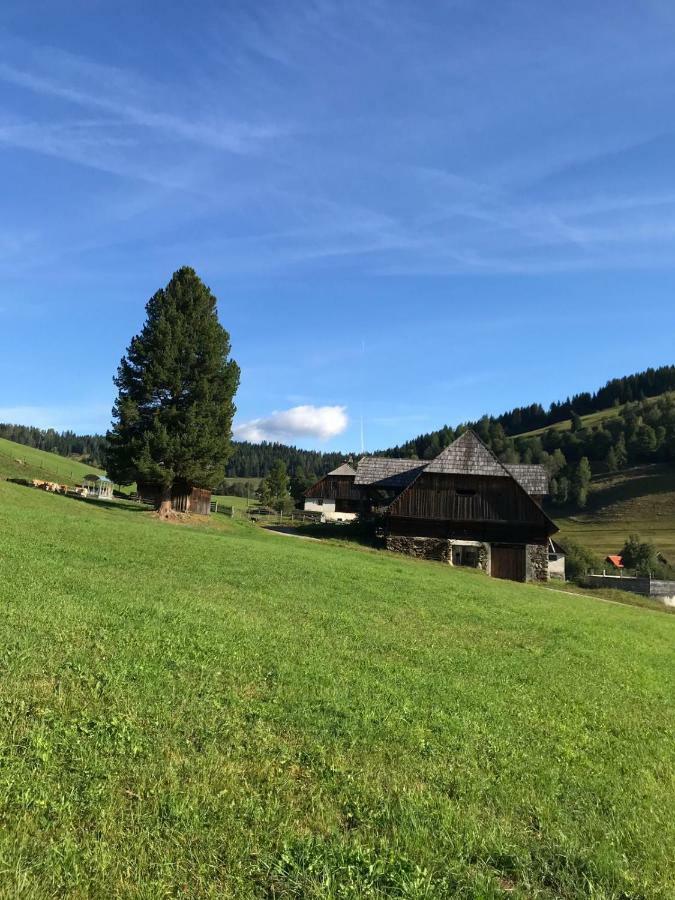 Wohlfuehlpension Kreischberg Inklusive Murau Sommergaestecard Ab 2 Naechte ザンクト・ゲオルゲン・オプ・ムーラウ エクステリア 写真